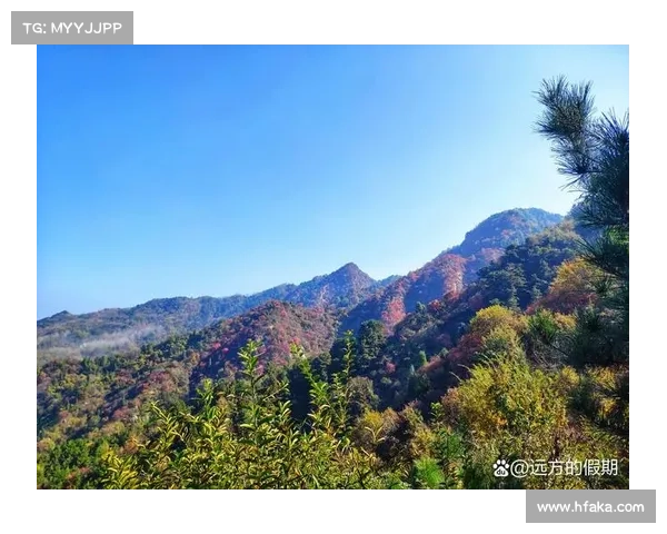 轻风山游玩全攻略与必备步骤详解,畅享山间美景与自然风光 轻风山游玩全攻略与必备步骤详解,畅享山间美景与自然风光